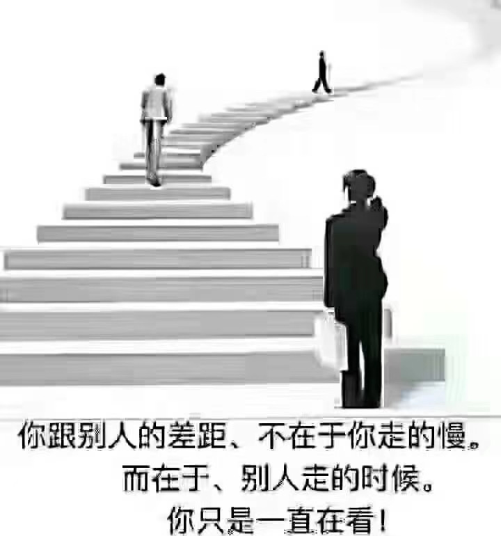 广西风雨林科技有限公司，与您同赴职场国际化之旅！