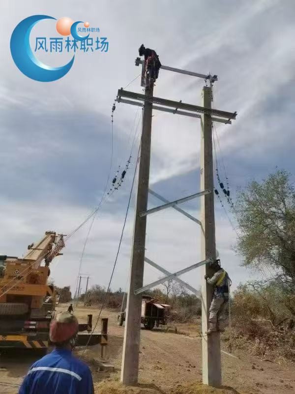 1741425232170858.jpg 650d4cb4d957d742fd45ec497fddee2.jpg