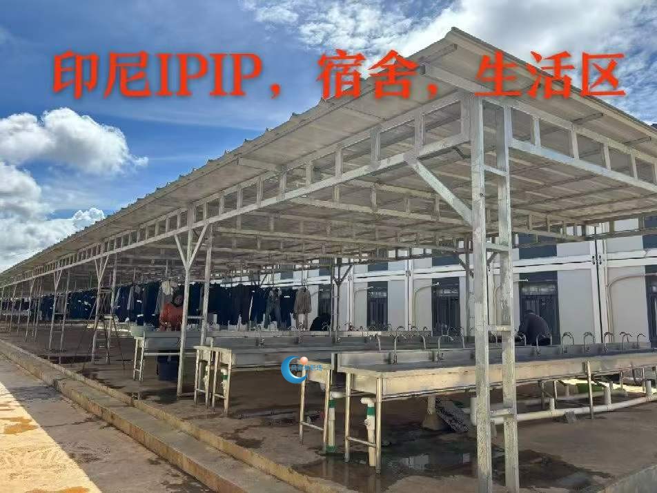 1763020344782599.jpg 7aec00f89cdc82f17ecaa95c10939fc5.jpg